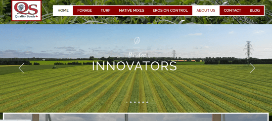 Quality Seeds Ltd