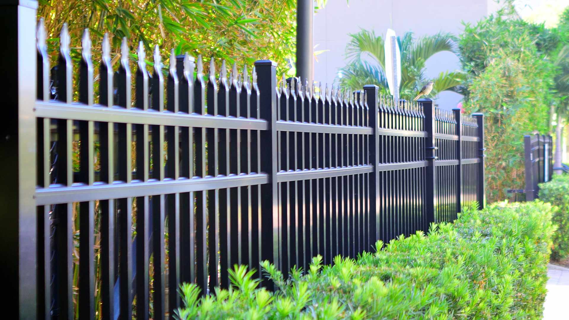 fence companies
