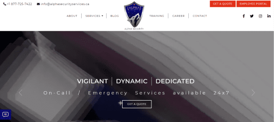 Alpha Security Services 
