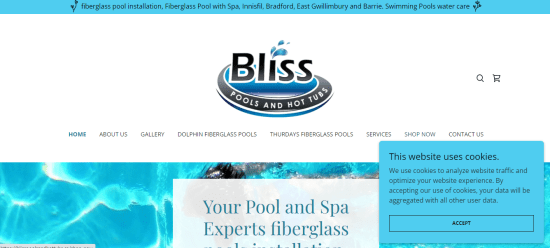 Bliss Pools 0026 Hot Tubs inc 