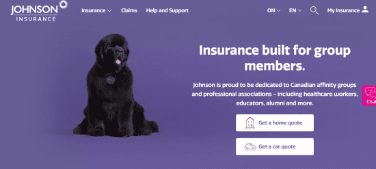 Johnson Insurance