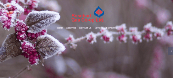 ROSEBUD GAS CO-OP LTD