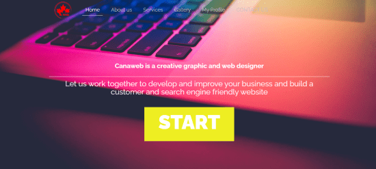 Web Design in Toronto 