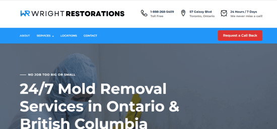 Wright Restorations Mold Removal 