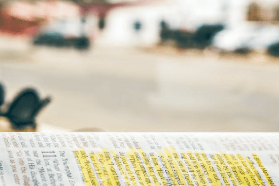 Edit Your Book