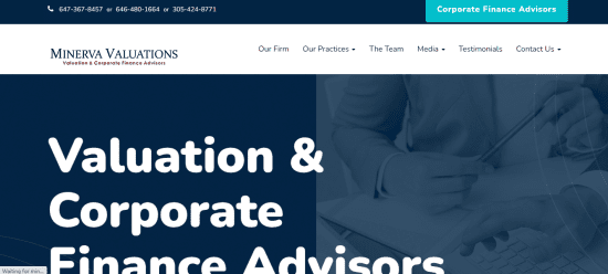 Minerva Valuations 