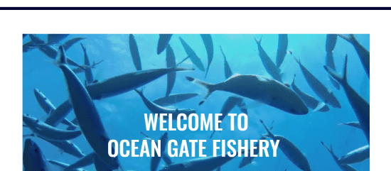 Ocean Gate Fishery Ltd 