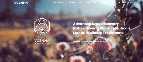 VCENNA Technology & Labs 