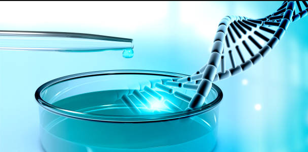 Vancouver biotech companies