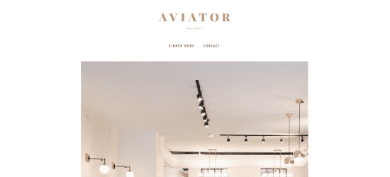 Aviator Danforth 