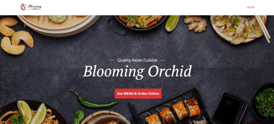 Blooming Orchid 