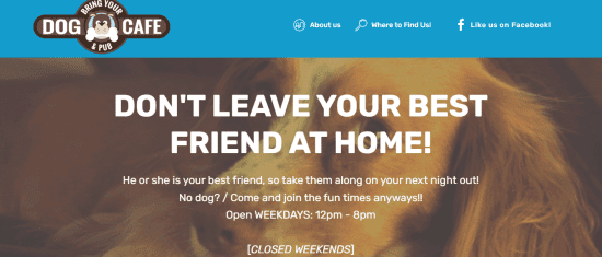 Bring Your Dog Cafe 