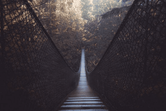 Capilano Suspension Bridge Park vancouver