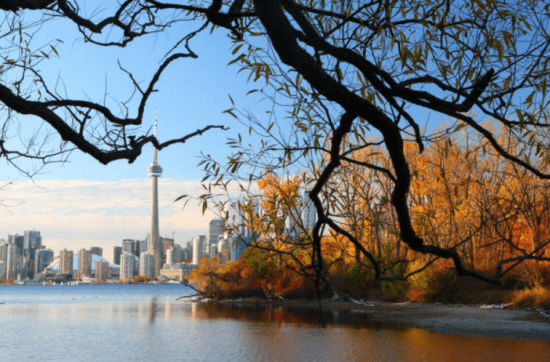 High Park