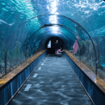 Top 10 Best Things to Do in Vancouver