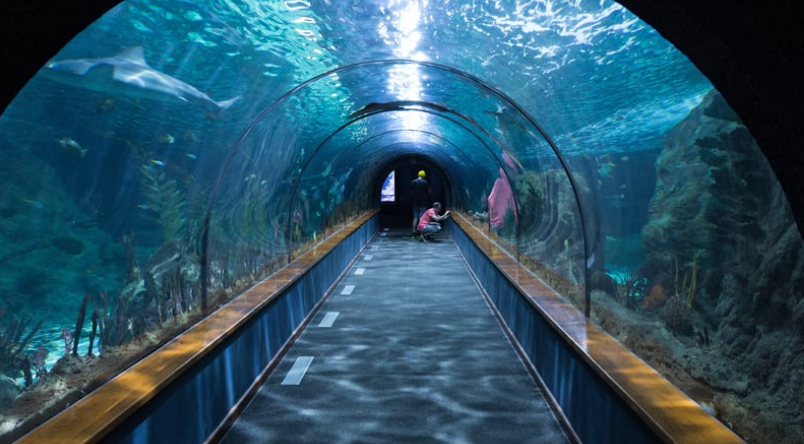 Top 10 Best Things to Do in Vancouver