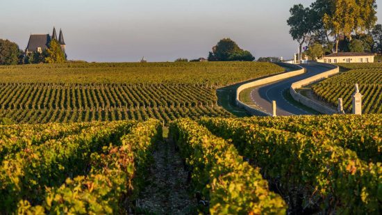 CedarCreek Estate Winery
