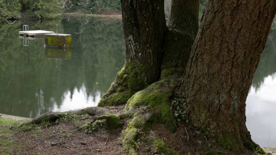 Colliery Dam Park