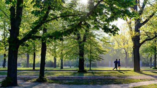 Erindale Park