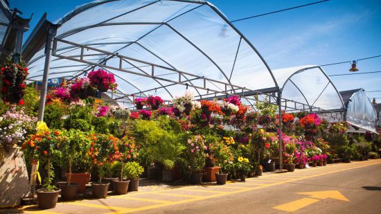 Jean-Talon Market