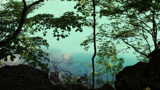 Niagara Glen Nature Centre
