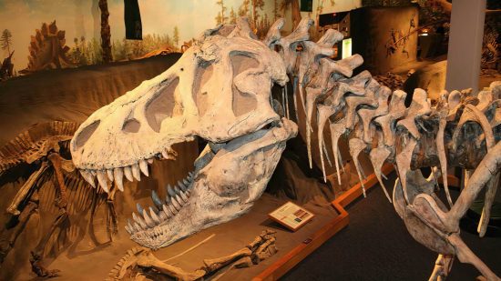 Royal Alberta Museum