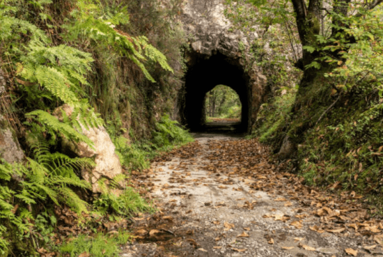 Tunnel Mountain Trail