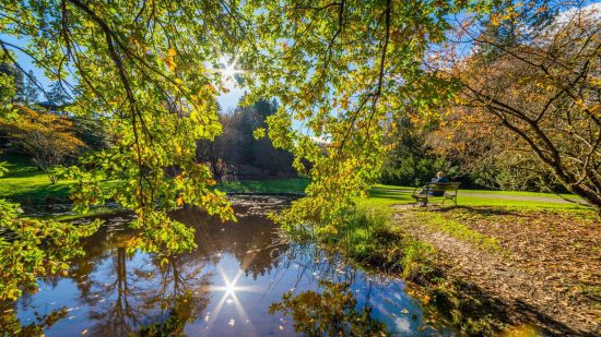 Washington Park Arboretum