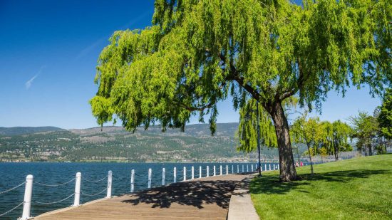 Waterfront Park