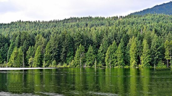 Westwood Lake