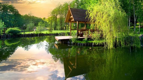 Arbour Lake