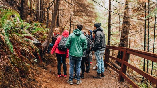 Discover the Beautiful Hiking Trails