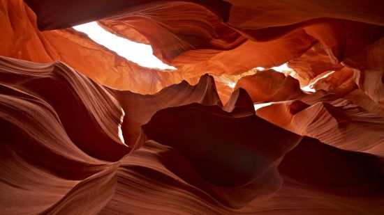 Discover the Natural Beauty of Red Rock Canyon