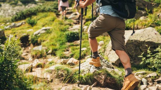 Hike through Old-Growth Forest to Beaches and Coves