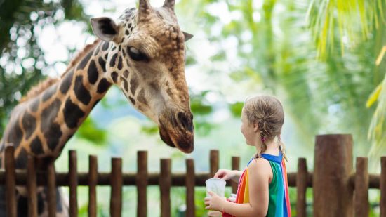 Saskatoon Forestry Farm Park & Zoo
