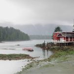 things to do in tofino