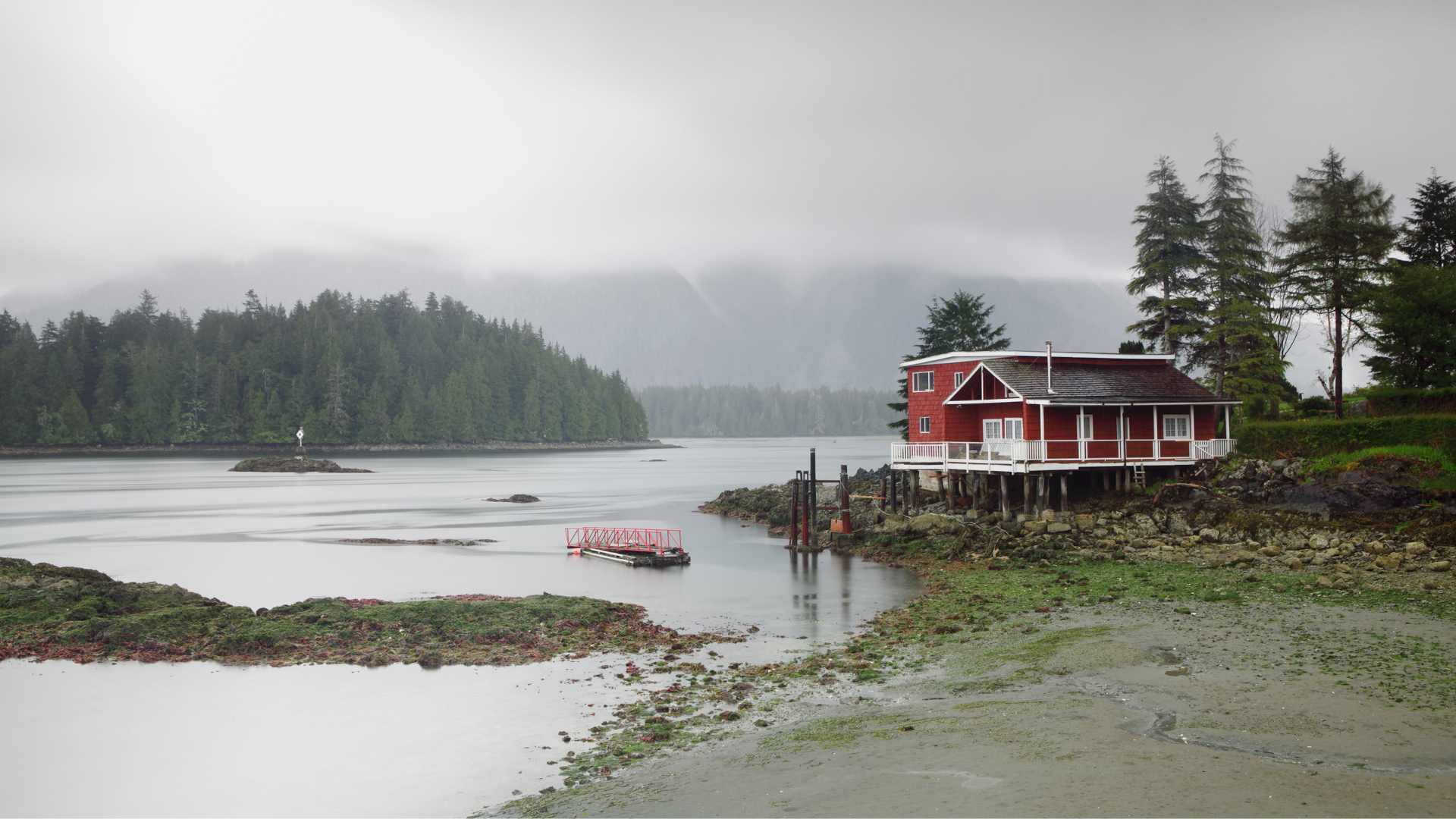 things to do in tofino