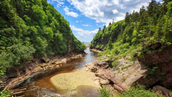 Fundy National Park
