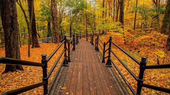 Irving Nature Park