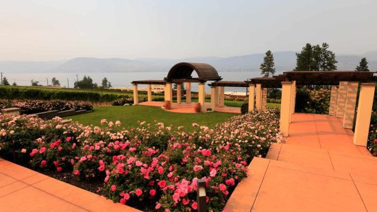Monte Creek Winery