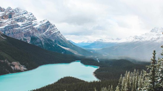 Peyto Lake, Alberta
