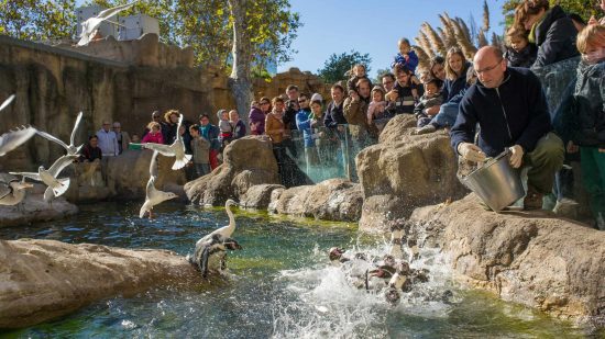 Visit Calgary Zoo