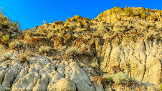 Visit Dinosaur Provincial Park