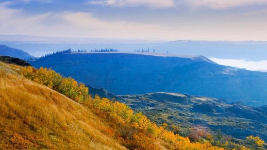 Visit Dry Island Buffalo Jump Provincial Park