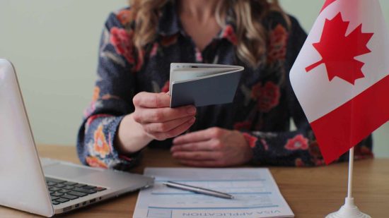 What is an Immigration Consultant