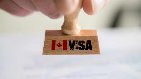 What is an eVisa