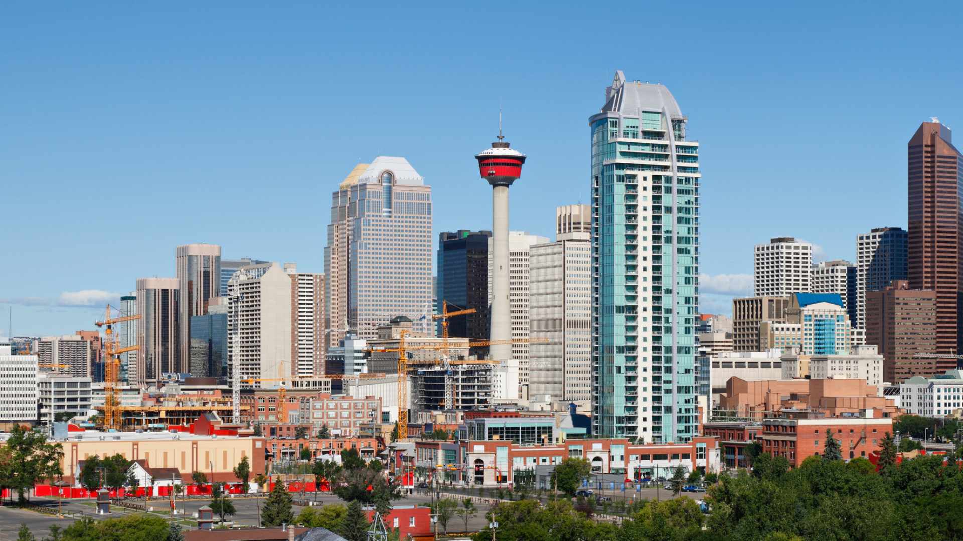 things to do in calgary today