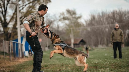 Preparation for the OACP Certificate