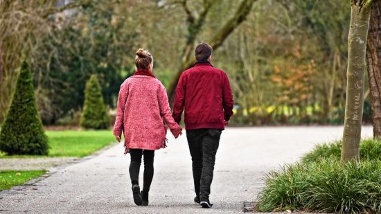 Stroll Through the High Park